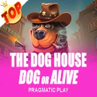 The Dog House qqaxioo